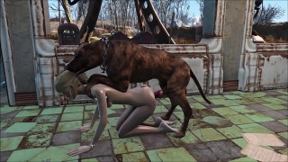 Sex chó đụ người khóc la om sồm